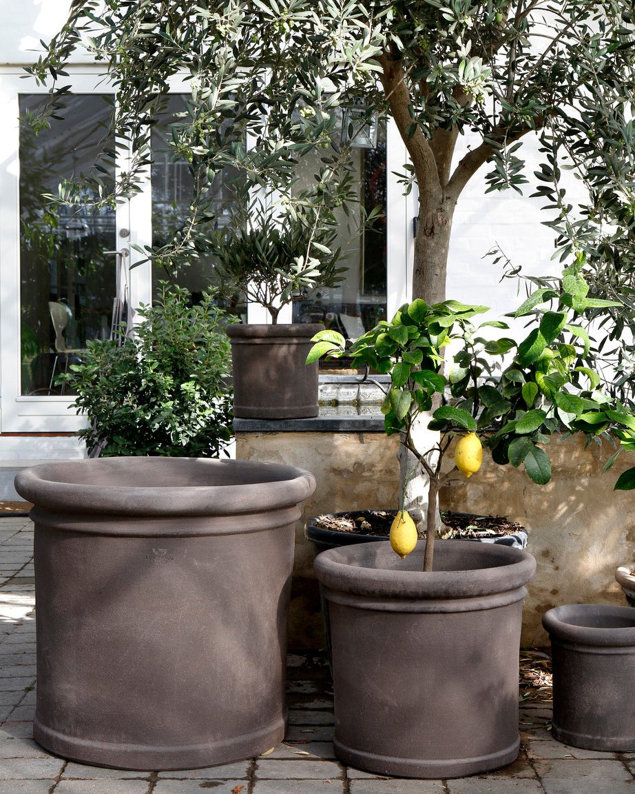 Siena Garden Vaso Cilindro terra 30 cm Siena Garden Vaso Cilindro terra 30 cm