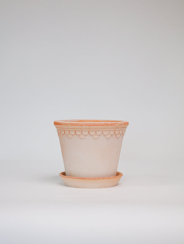 Terracotta bergs in small.