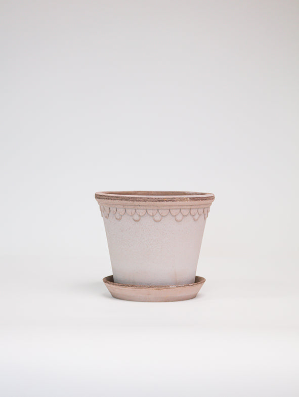 Terracotta pot in small.
