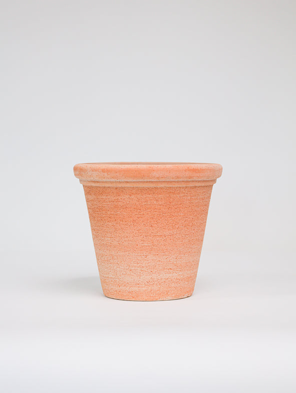 Medium Etrusco terracotta pot.