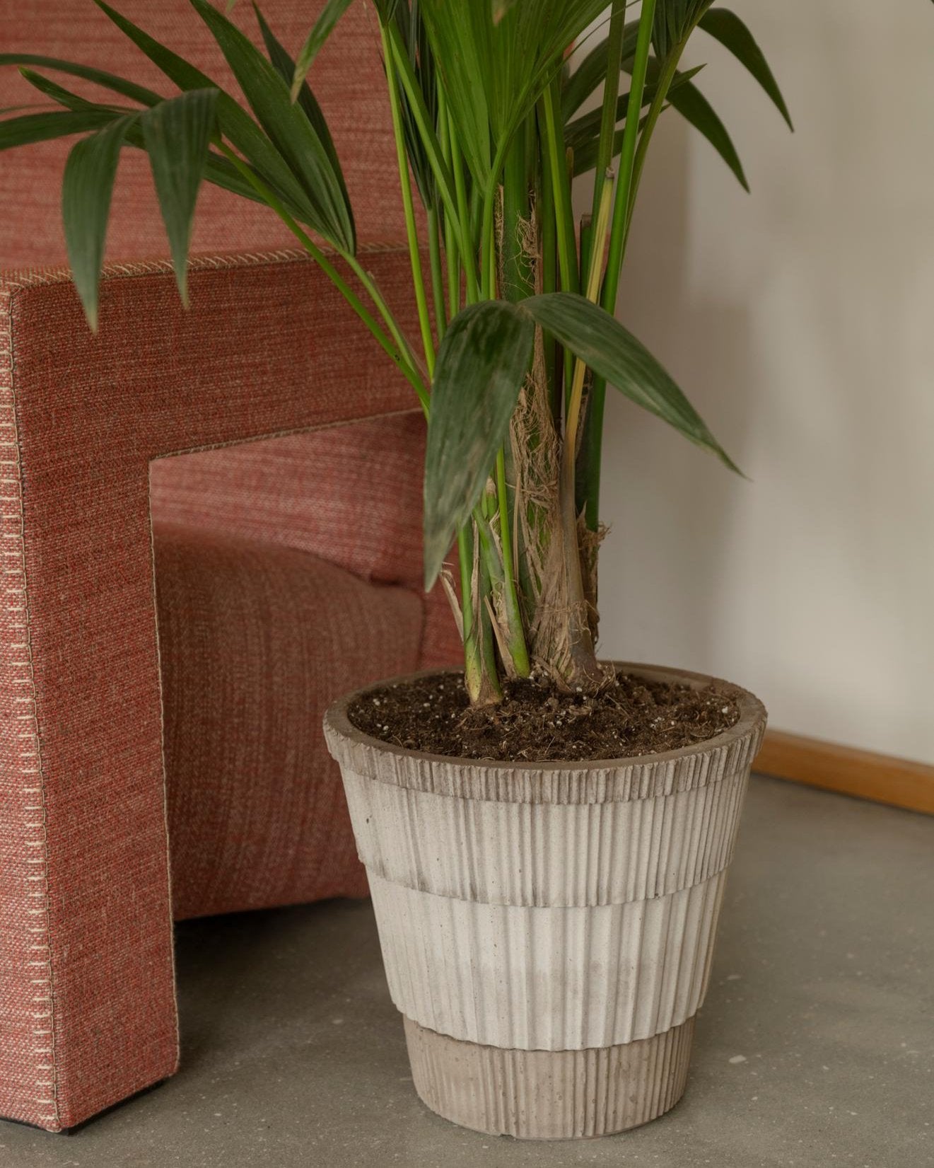 Bergs Terracotta Atlas Pot - Rosa - Soto Gardens