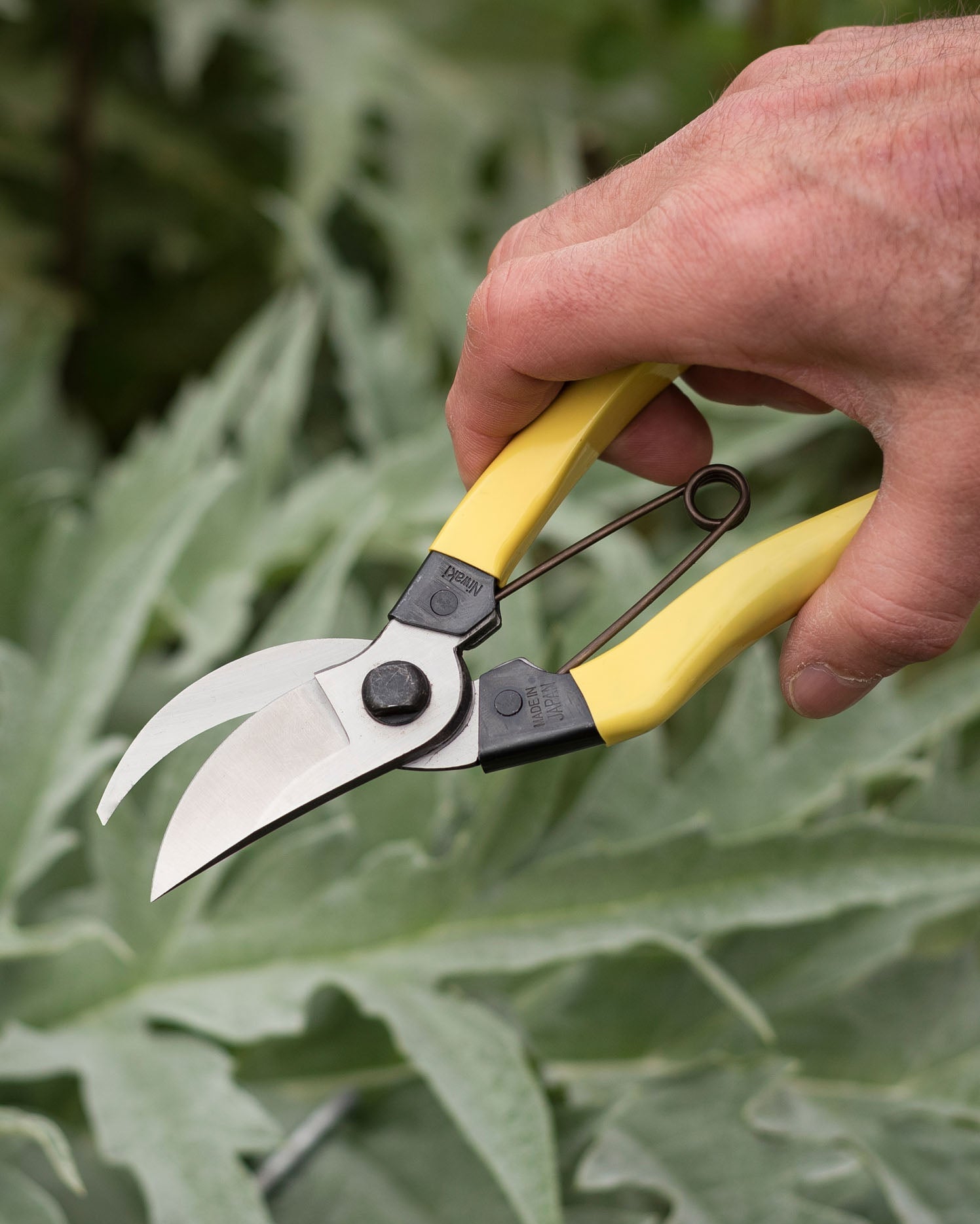 Niwaki Mainichi Secateurs - Soto Gardens