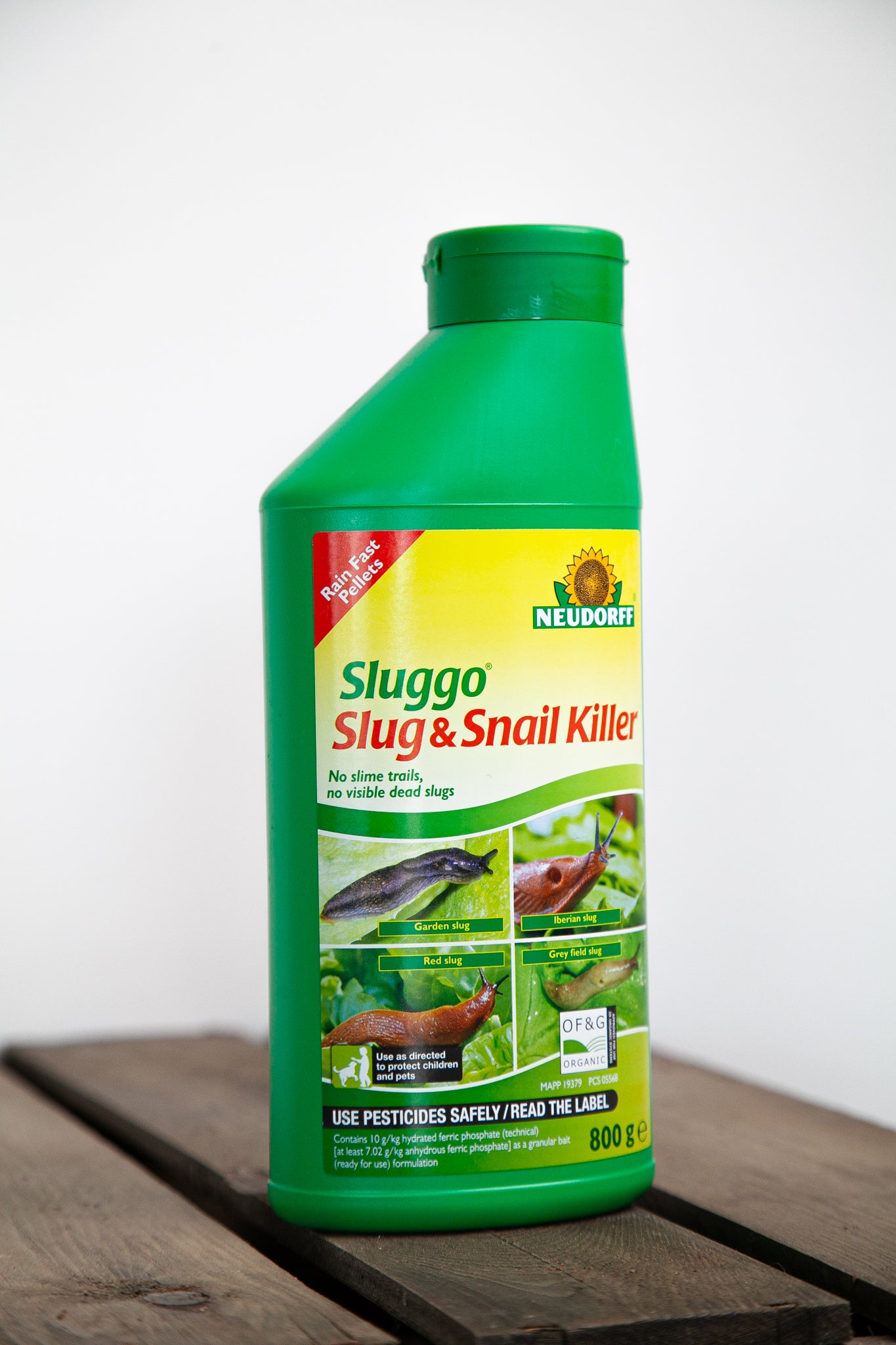 Slug and Snail Control - Soto Gardens