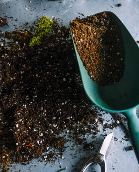 Peat Free Compost - 40L - Wide Border